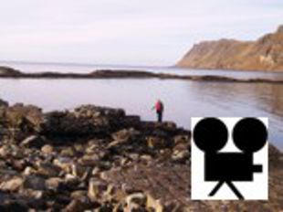 Our leader Prof Robert Beveridge