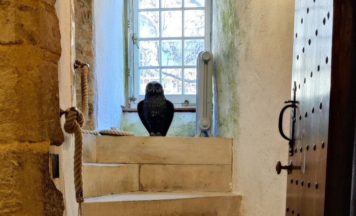 No, it can't have been here all the time