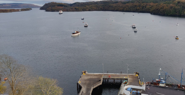 Room with a view from WIH